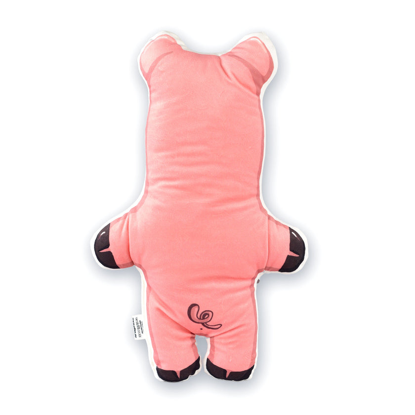 Gnome cushion with your photo 