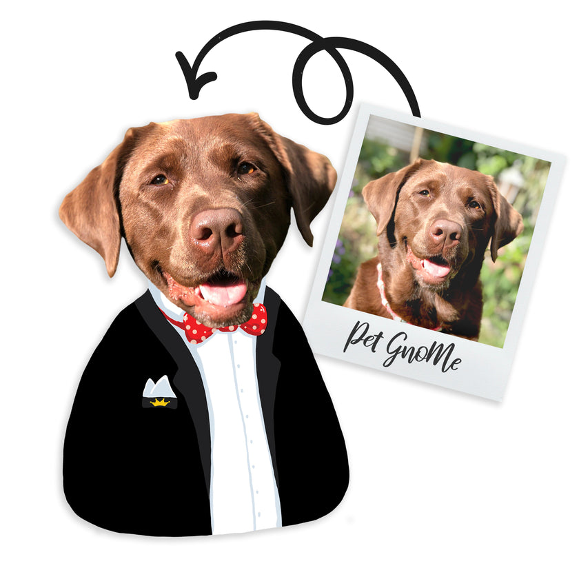 GnoMe pet photo cushion 