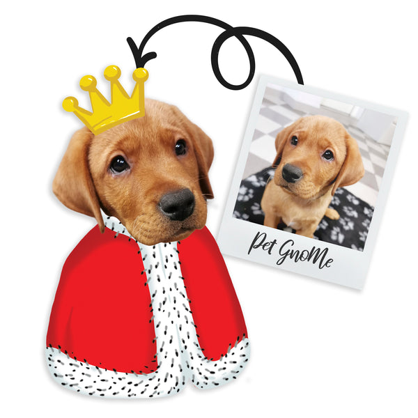 GnoMe cushion with pet photo "King"