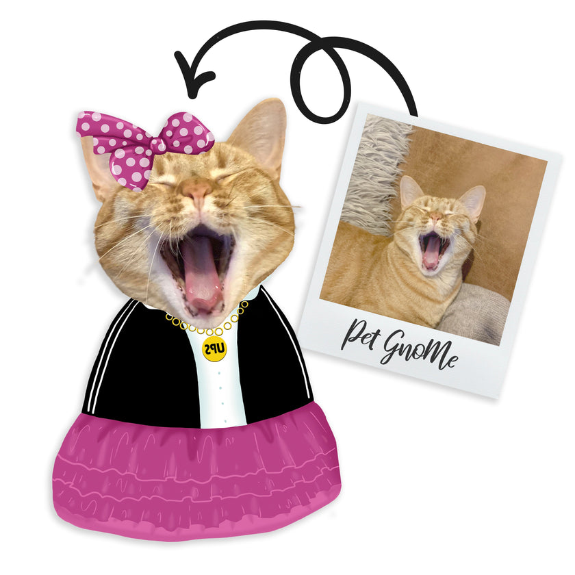 GnoMe cushion with a pet photo 