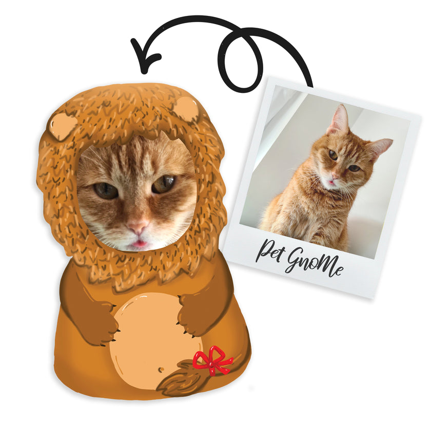 GnoMe cushion with a pet photo 