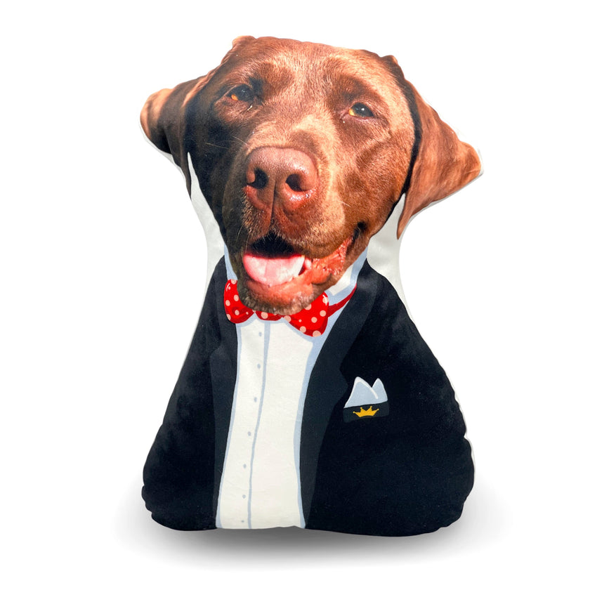 GnoMe pet photo cushion 