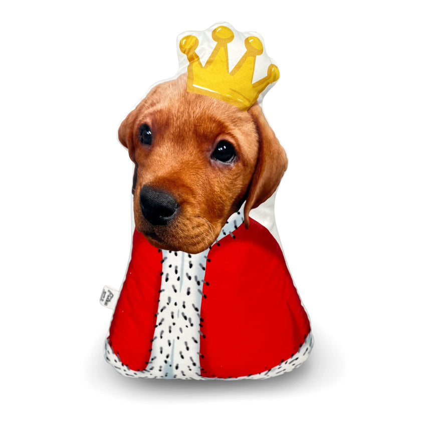 GnoMe cushion with a pet photo 