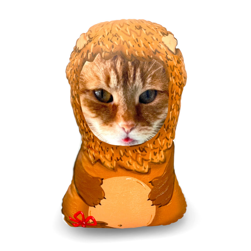 GnoMe cushion with a pet photo 