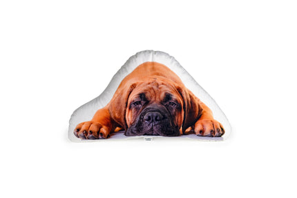 Pillow with a photo of your puppy